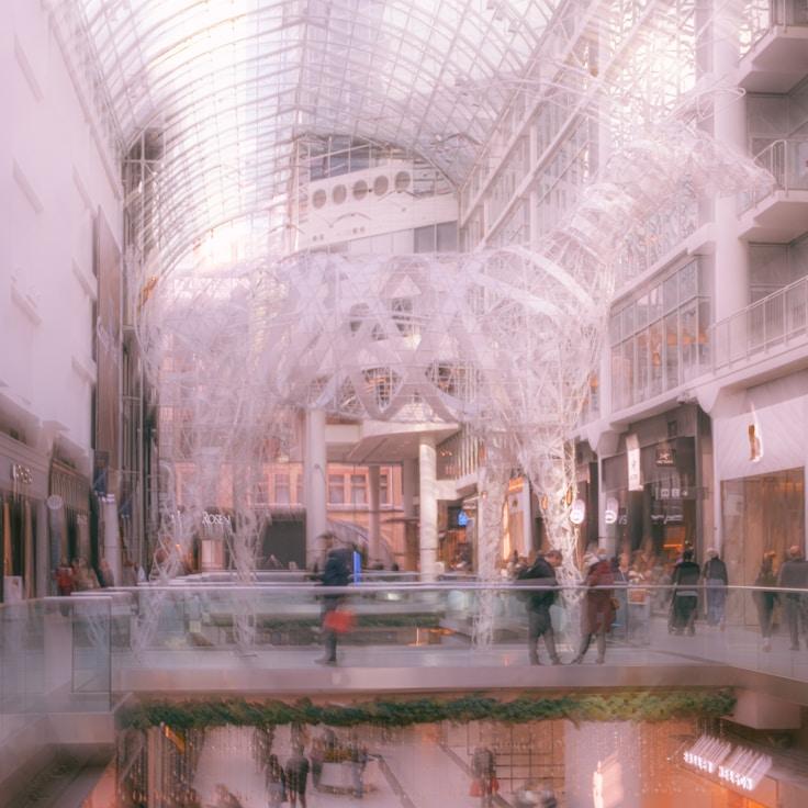 Dining out as an expat family in Netherlands