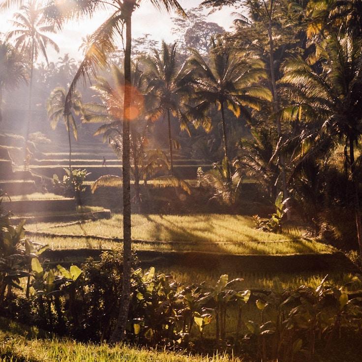 Outdoor terrace seating suitable for families in Amsterdam